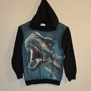 Dinosaur Print Long Sleeve Hoodie for Kids